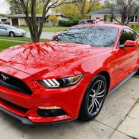 Pro Tint