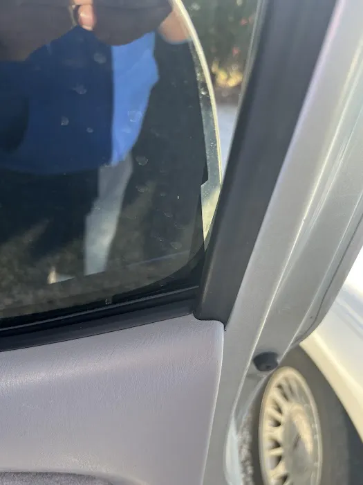 Pro Tint 4