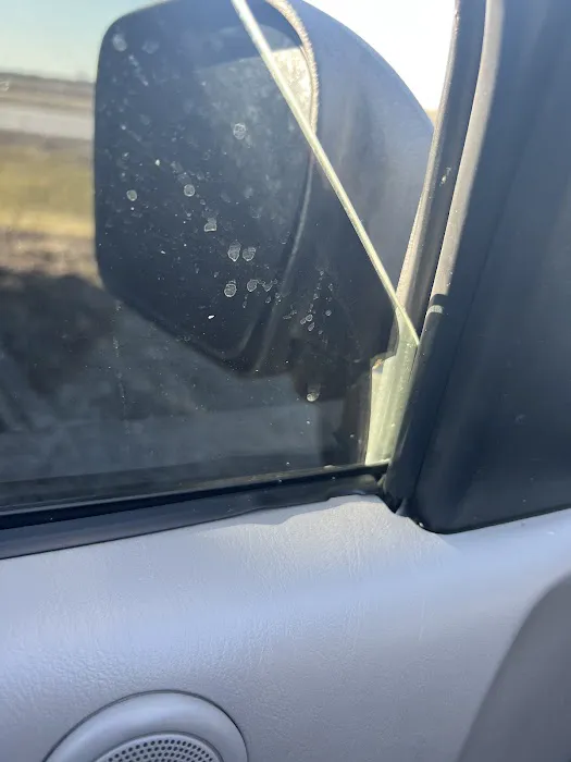 Pro Tint 5