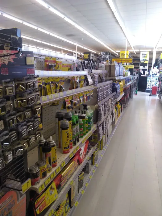 Advance Auto Parts 4
