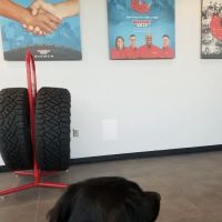 Discount Tire