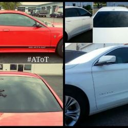 A Touch Of Tint ico