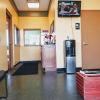 Masters Oil Change