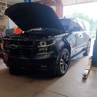 Clutch Dynamics
