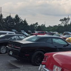 Divine Auto Body ico