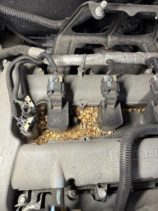 Badger Auto Care 1