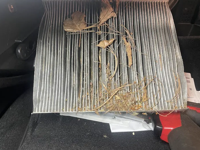 Badger Auto Care 6