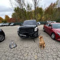 Gerber Collision & Glass