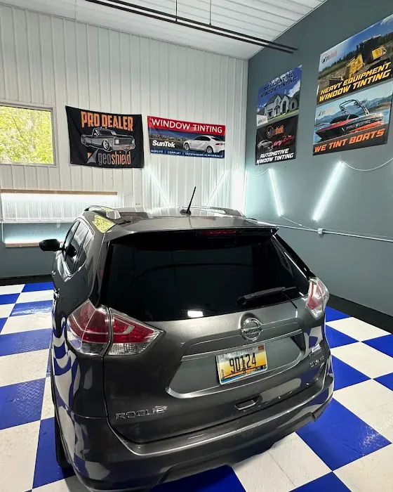Mitten Tint Experts 1