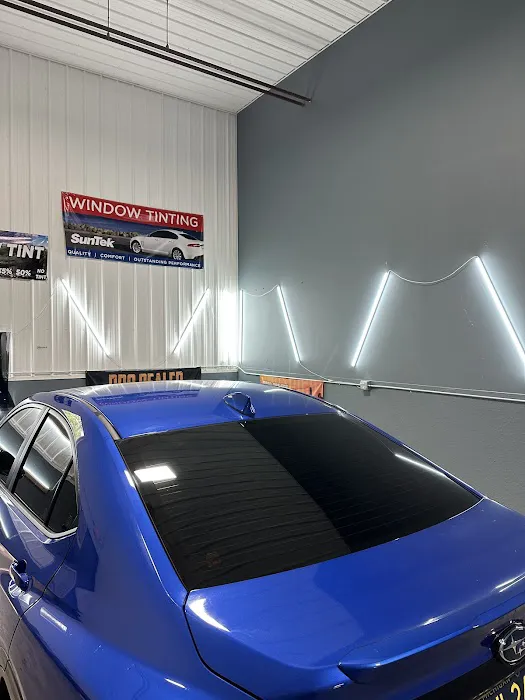 Mitten Tint Experts 6