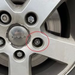 Tuffy Troy Auto Repair ico