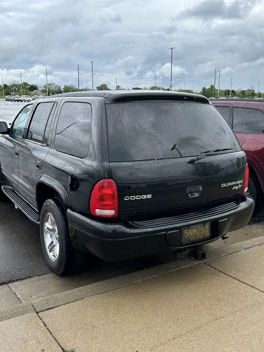 Shelby Automotive LLC 5