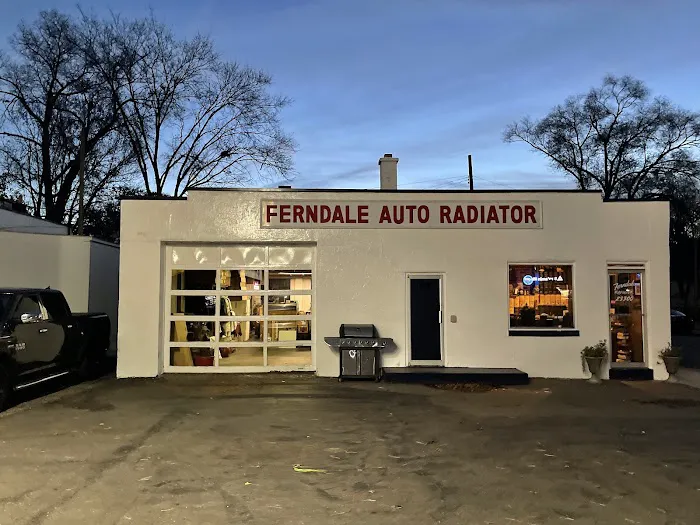 Ferndale Auto Radiator Repair 5