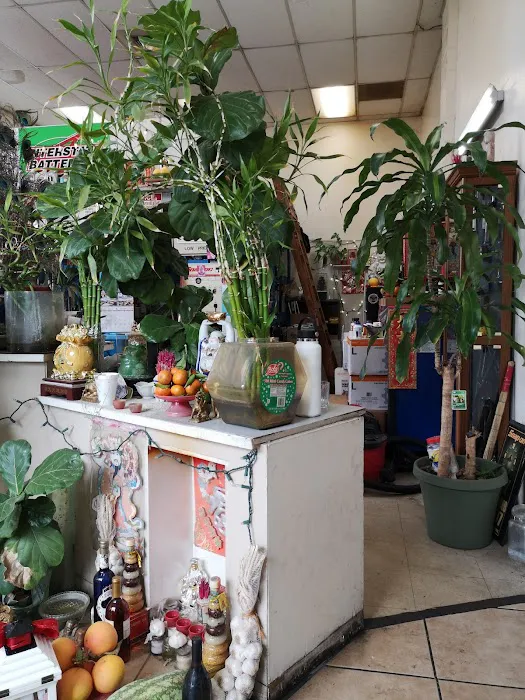 Advanced Auto Repair 7