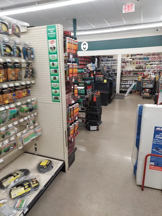 O'Reilly Auto Parts 7