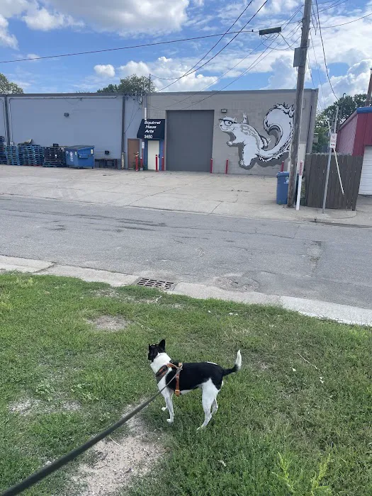 Alexander's Import Auto Repair 5