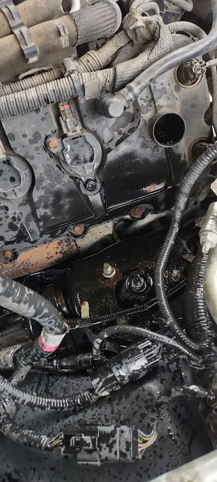 Tires Plus 4