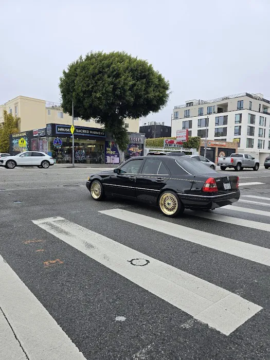 Major Muffler 1
