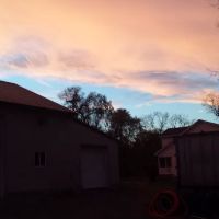 L Dickinson Garage