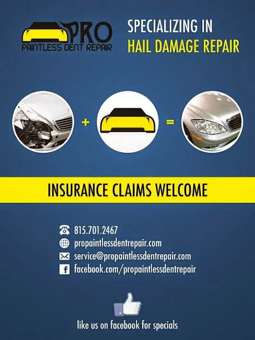 Pro Paintless Dent Repair Inc 5