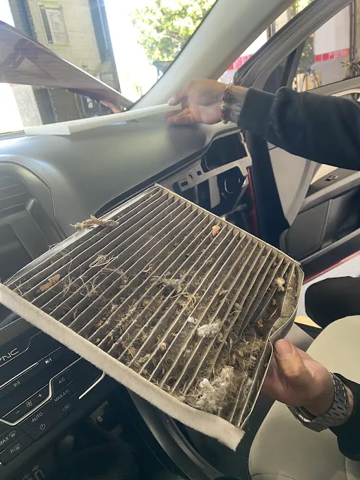 Jiffy Lube 7
