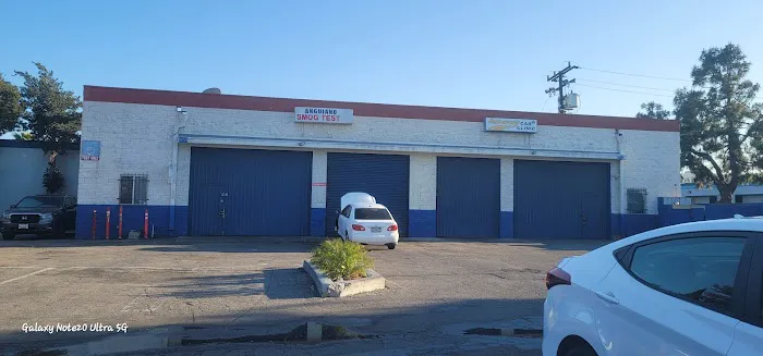 ANGUIANO SMOG TEST 9