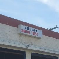 ANGUIANO SMOG TEST