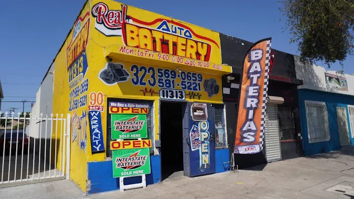 Real Auto Battery 3