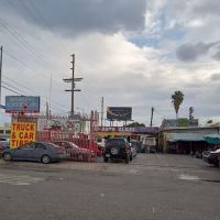 Smog Check
