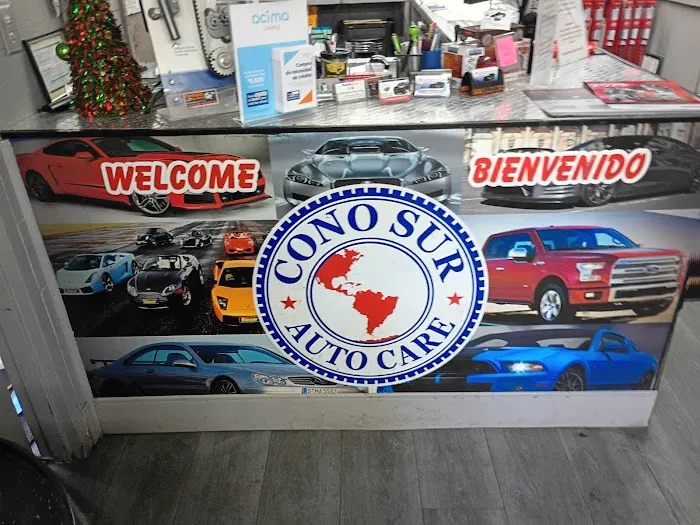 Conosur Autocare 1