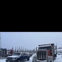 BnD Diesel ico