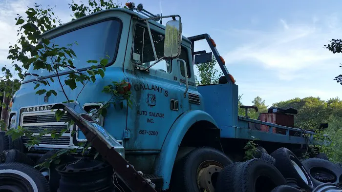 Gallant's Auto Salvage Inc 1