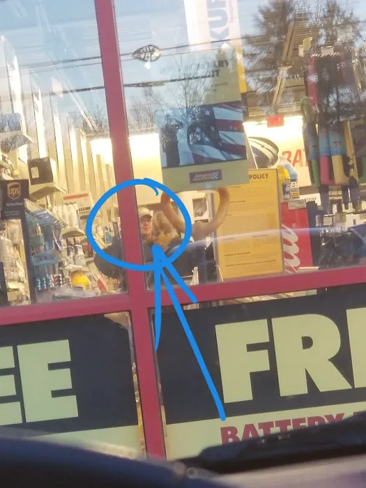 Advance Auto Parts 1