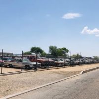 Arizona Desert Specialties