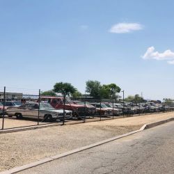 Arizona Desert Specialties ico