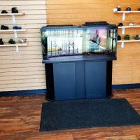 Aaron's Affordable Auto Repair