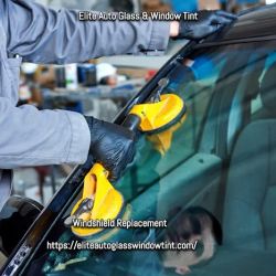 Elite Auto Glass & Window Tint ico