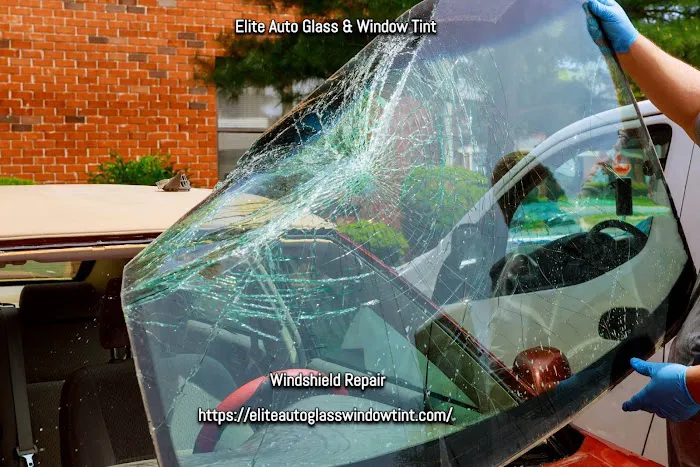 Elite Auto Glass & Window Tint 2