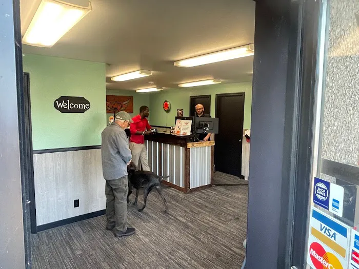 Trinity's Quality Auto Care 5