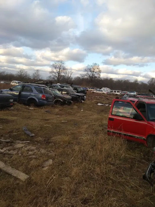 Freeman's Auto Salvage 2