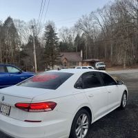 Prestige Tinting