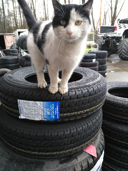 M & J Tire Lake Ariel 4