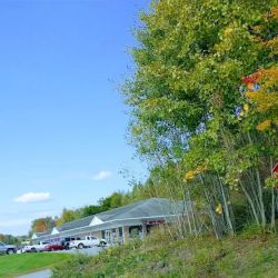 Carquest Auto Parts - AUTO PARTS OF HONESDALE INC. ico