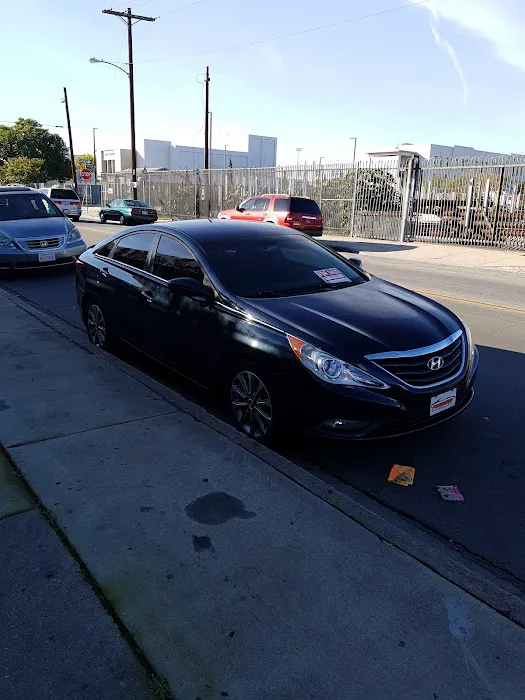 Professional Window Tint 6