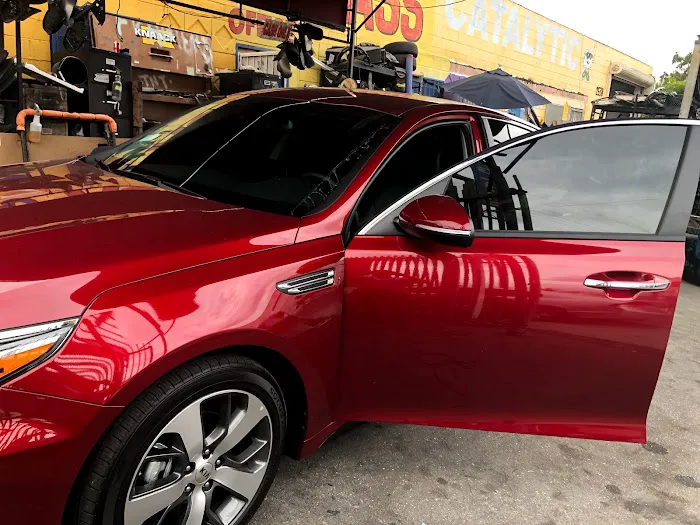 Lulu's Window Tint 2