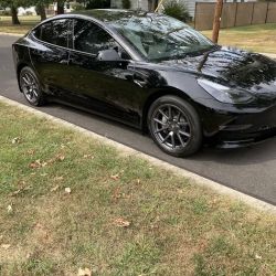 Blue Line Window Tinting ico