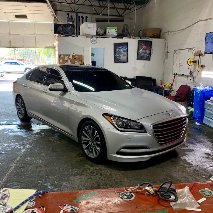 Wolf Tints 5