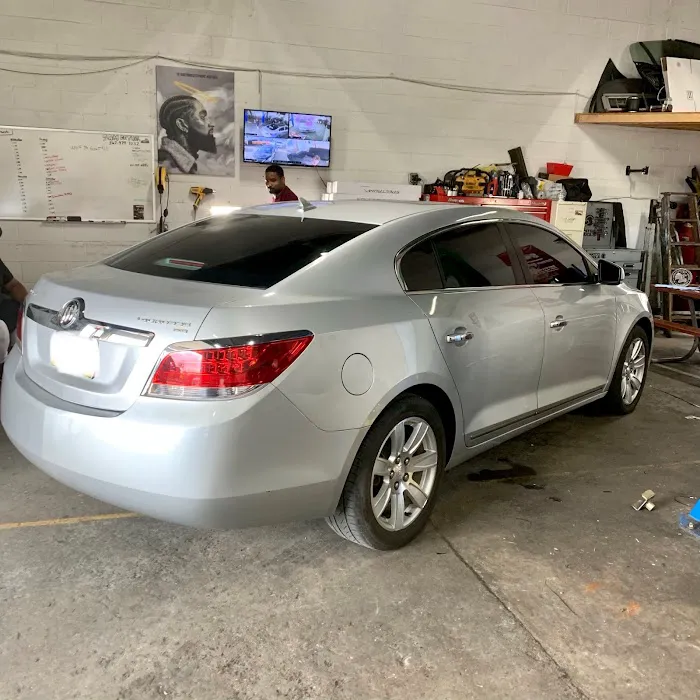 Wolf Tints 8