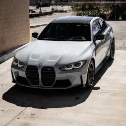 Visionary Tints ico