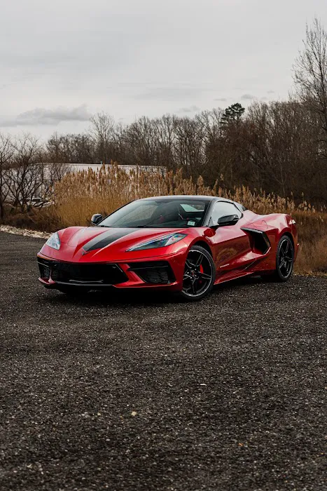 Dynamic TINT & Paint Protection Film (PPF) Marlton 0